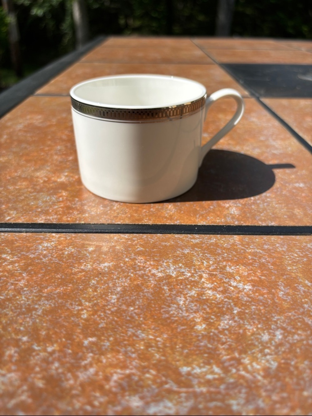 Epoch Century Platinum E 207 Classic White Porcelain Coffee/Tea Cup